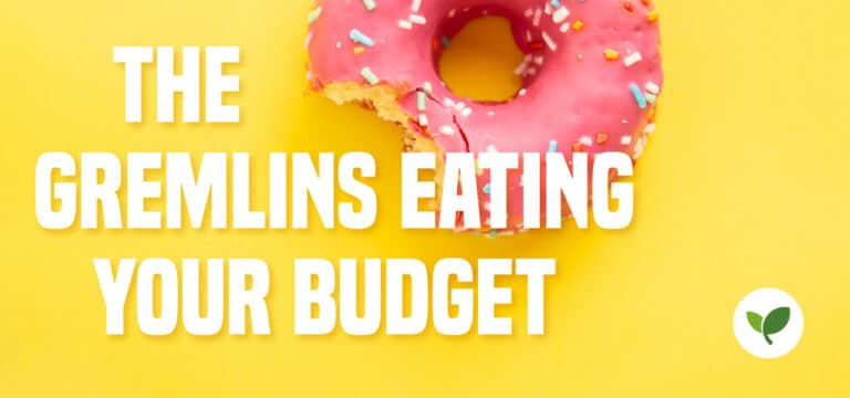 Obscure Costs: The Gremlins Eating Your Budget
